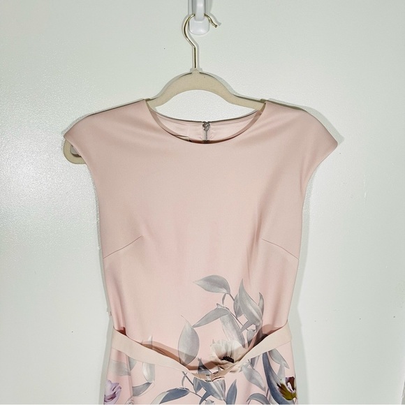 NEW Ted Baker London Hailey Everglade Printed Dress Garden Party Wedding Pastel - Picture 4 of 10